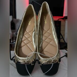 Aldo Woman’s Leanne Ballet Flat (NWOB)
